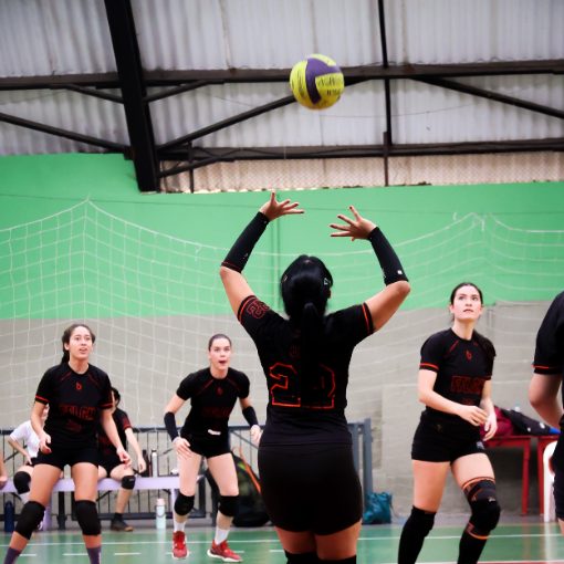 Event cover NDU Voleibol Feminino (D, E) - 3 partidas - 29/08/2026