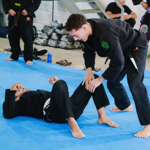 Event cover Open mat WL combat