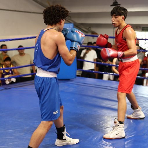 Event cover Golden Boxe Championship 3