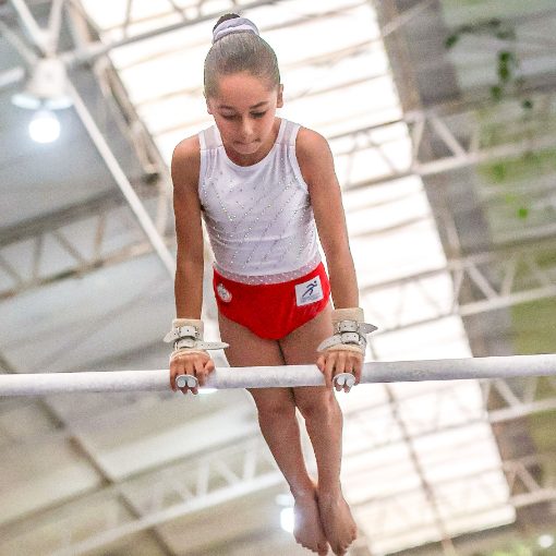 Event cover CAMPEONATO ESTADUAL PRÉ-INAFANTIL DE GINASTICA ARTISTICA FEMININA