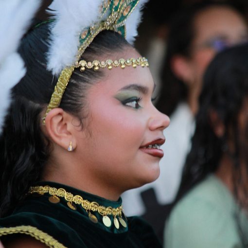 Event cover DESFILE  - BARRA DO BREJO 2026
