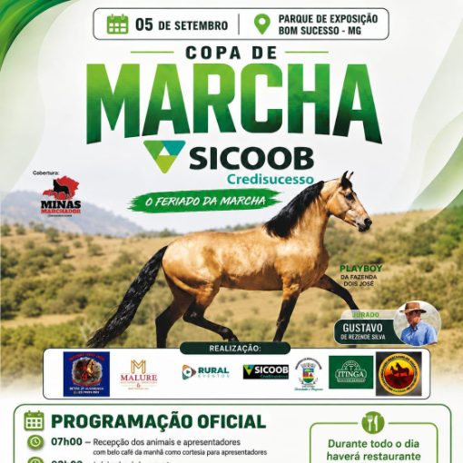 Event cover COPA DE MARCHA DE BOM SUCESSO