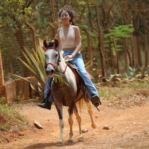 Event cover passeio a cavalo 