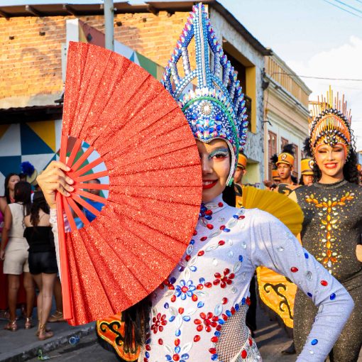 Event cover Desfile Cívico em Pilar
