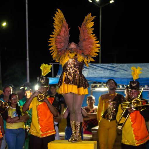 Event cover DESFILE SERTÃOZINHO