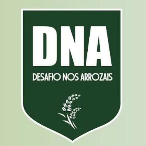 Event cover Desafio Nos Arrozais 2026 - Estarreja