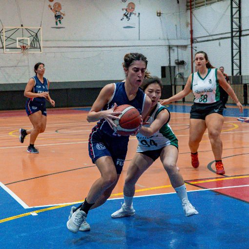 Naslovnica dogodka NDU Basquete Feminino (B, C) - 3 partidas - 12/09/2026