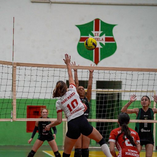Event cover NDU Voleibol Masculino / Voleibol Feminino (E, D) - 2 partidas - 20/09/2026
