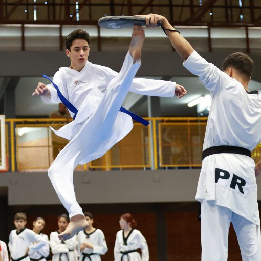 Event cover FESTIVAL DE ESPORTES TAEKWONDO 