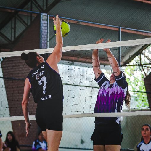 Event cover VOLEI FEMININO - ESPORTE ARARAS