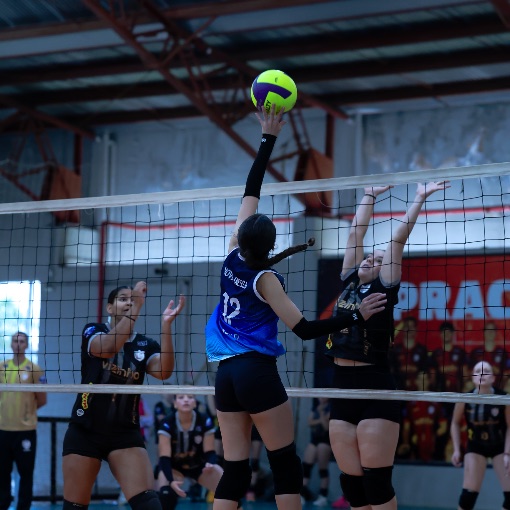 Event cover Liga APV Voleibol Fem. Arthur Nogueira x Nova Odessa