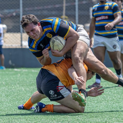 Event cover NDU Rugby XV Masculino/Feminino - 7 times - 27/09/2026 - Parque da Juventude Barueri