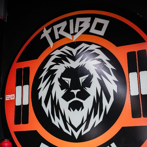 Event cover Tribo do Rei - Hyrox