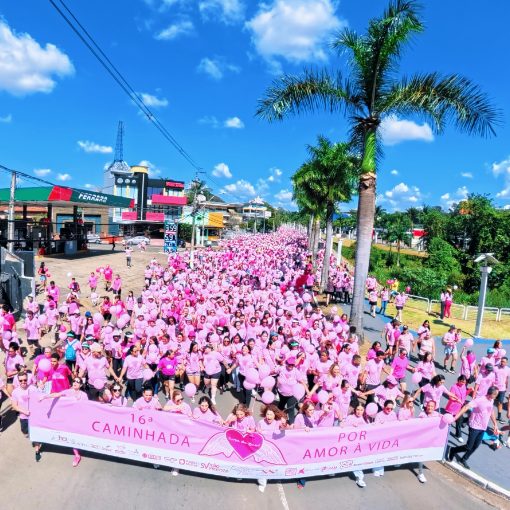 Event cover Rosa do Bem - 16ª Caminhada por Amor à Vida
