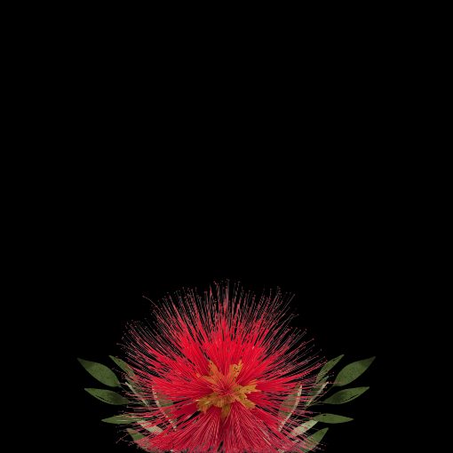 Event cover Caliandra