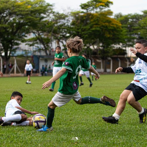 Event cover Campeonato Municipal de Limeira - Palmeiras Limeira x Meninos do Campo 