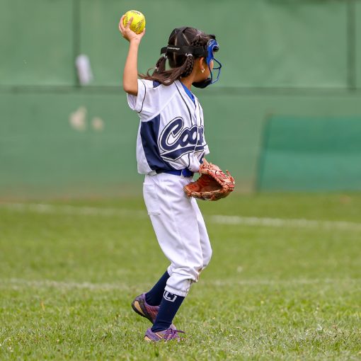 Event cover Softbol T-Bol 2026 - V Torneio Maria Tsukamoto