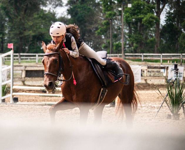 Event cover Copa de Salto EEDC - Hipismo Clássico