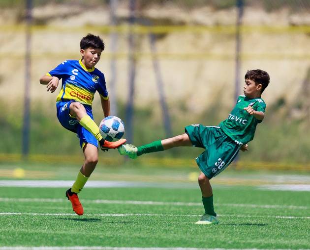 Event cover Fútbol Infantil: Everton vs Trasandino Sub 11-12