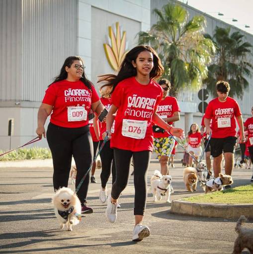 Event cover 1ª CÃORRIDA E CÃOMINHADA FINOTRATO