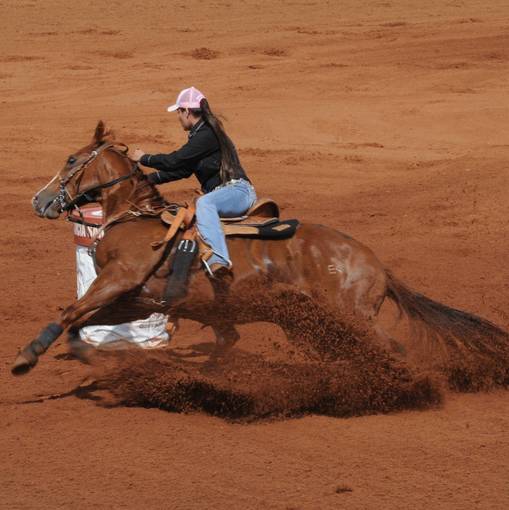 Event cover CAMPEONATO ACC 3 TAMBORES