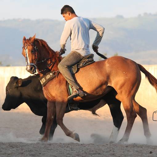 Capa do evento PARQUE DIVINA LUZ