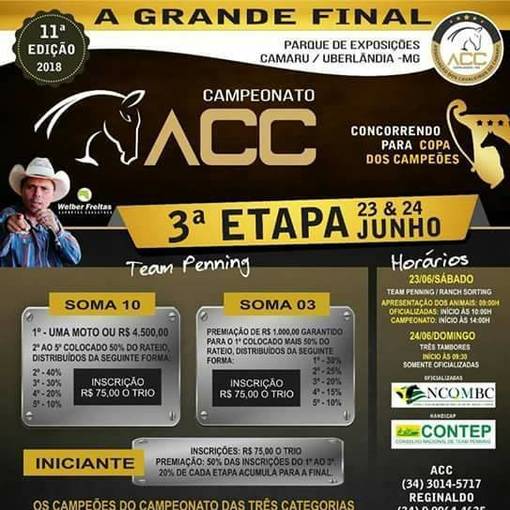 Event cover TEAM PENNING  GRANDE FINAL CAMARU