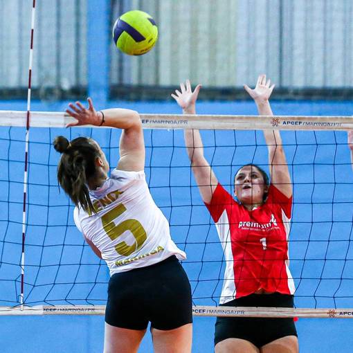 Event cover Premium V�lei Vs F�nix (LIGA AMADORA)