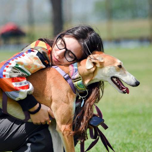 Event cover GALGO LOVERS ITALIA 