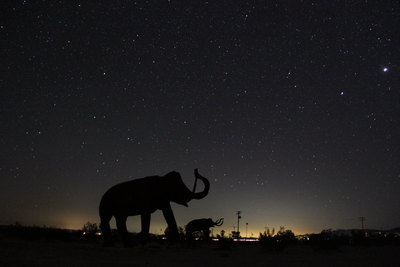 Chris Kittler
