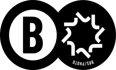 Boris Amaris Castillo