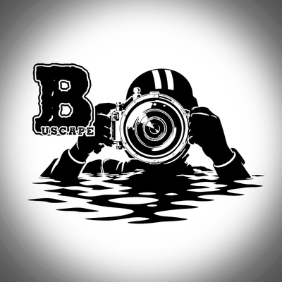 BUSCAPE Foto