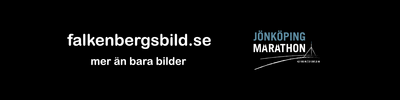 falkenbergsbild